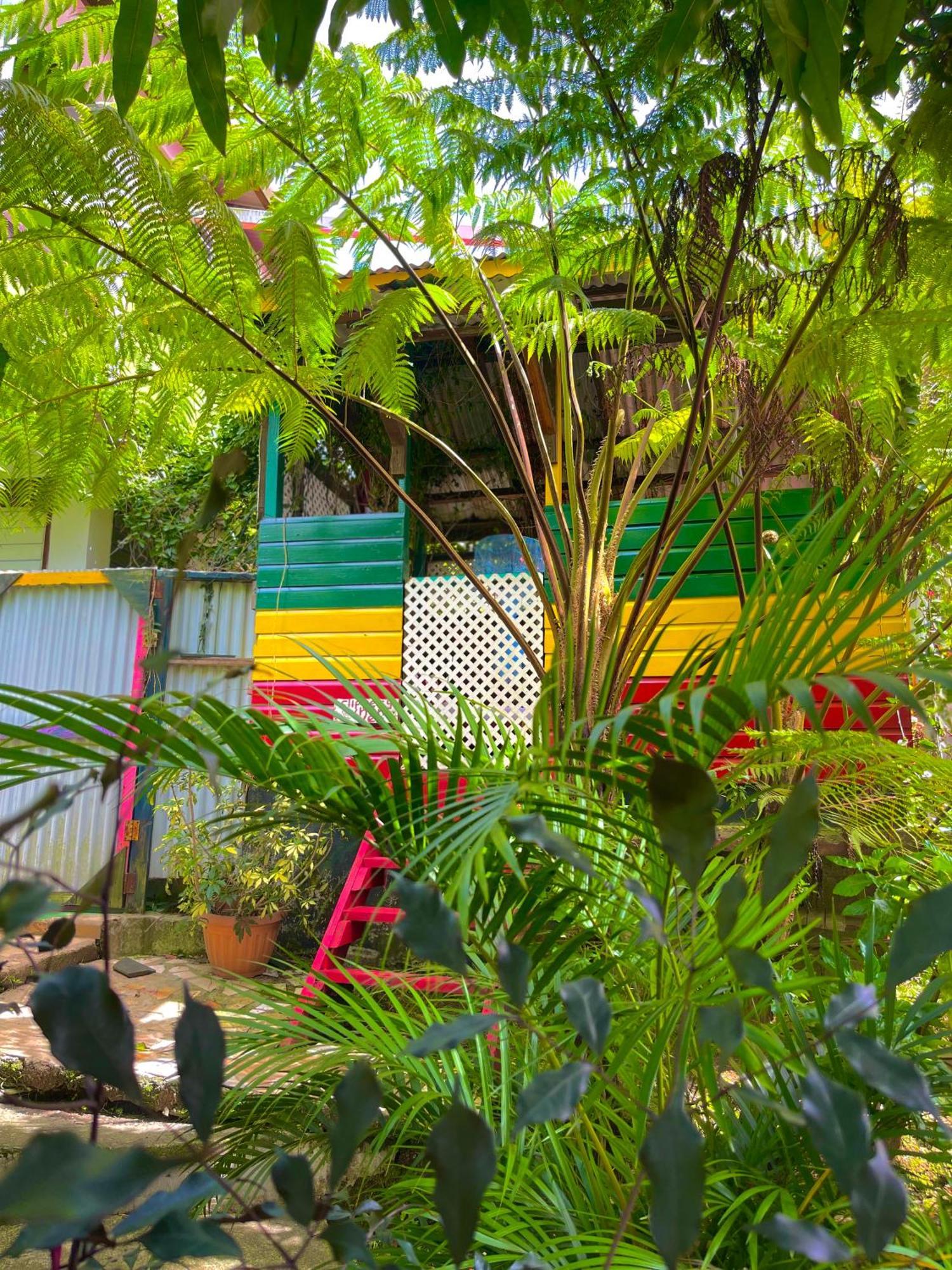 Le Petit Paradis Roseau Exterior photo