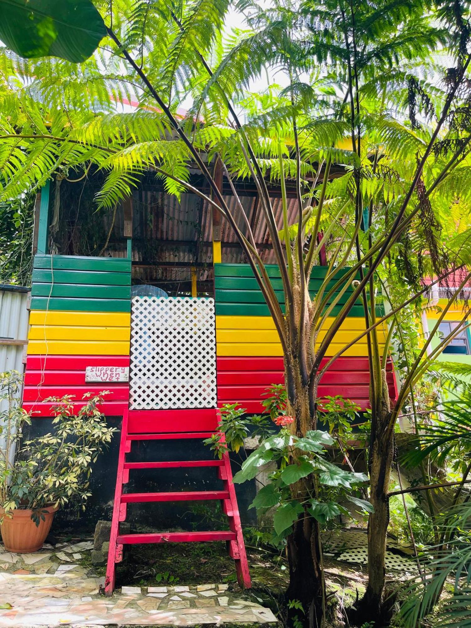 Le Petit Paradis Roseau Exterior photo