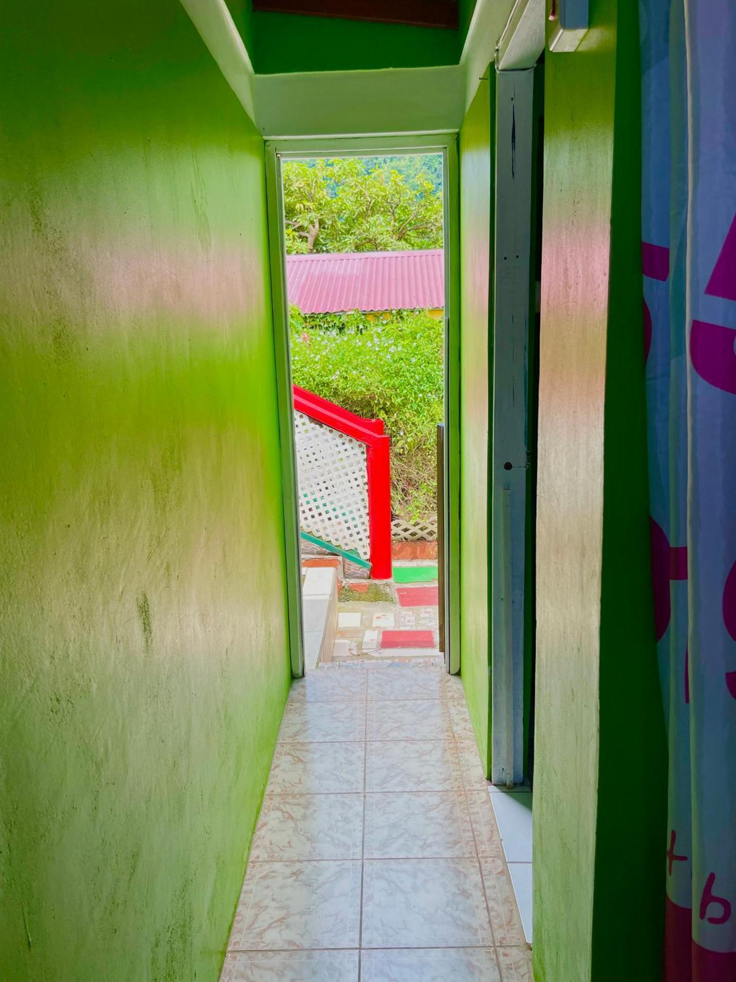 Le Petit Paradis Roseau Exterior photo