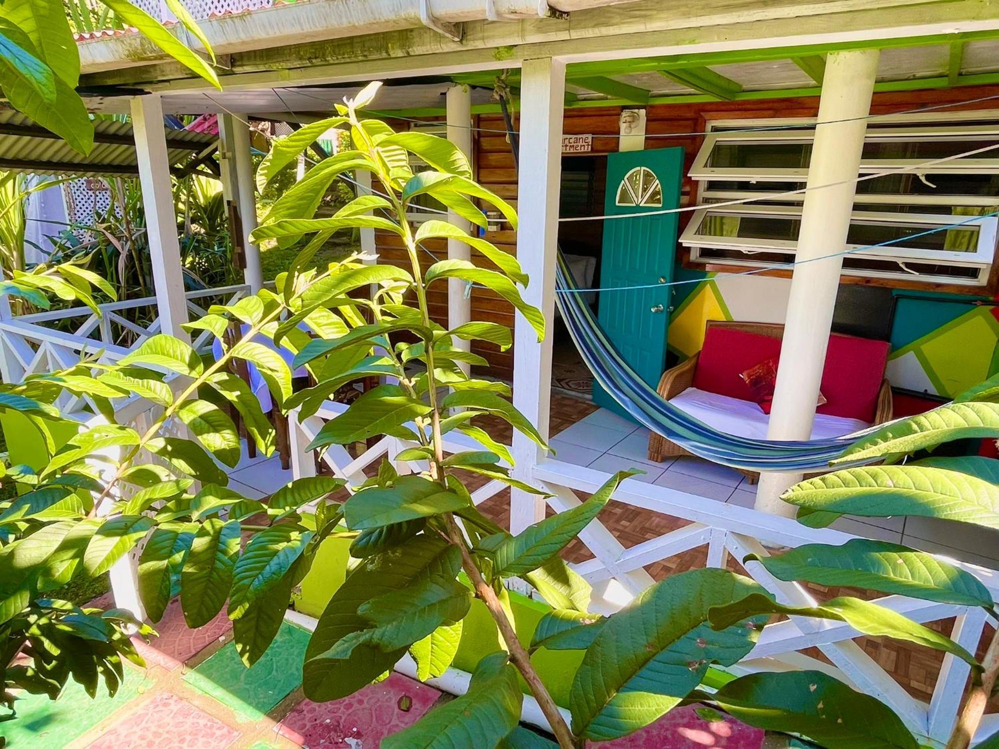 Le Petit Paradis Roseau Exterior photo