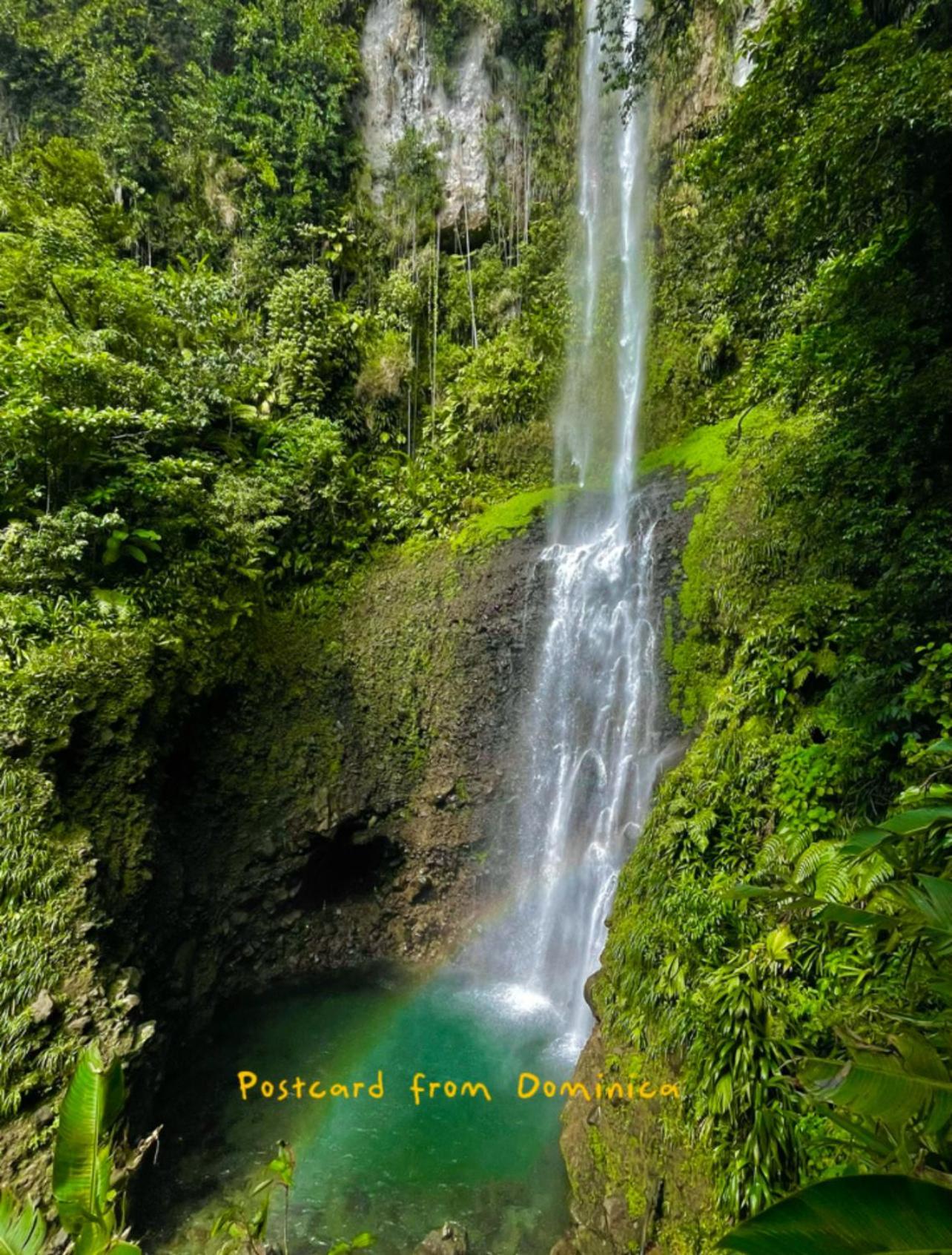 Le Petit Paradis Roseau Exterior photo